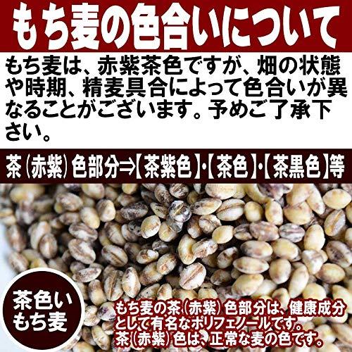 国産 もち麦 900g ダイシモチ 茶(赤紫)色