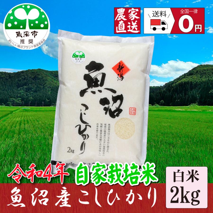 新米 農家直売】 令和5年産 お米２ｋｇ  魚沼産コシヒカリ　2kg 精米 魚沼市推奨コシヒカリ 農家直送 安心安全