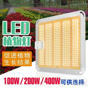 植物燈 led量子板植物燈100W200W400W大功率全光譜植物生長燈種植補光燈 雙12購物節 八折下殺價 可開發票