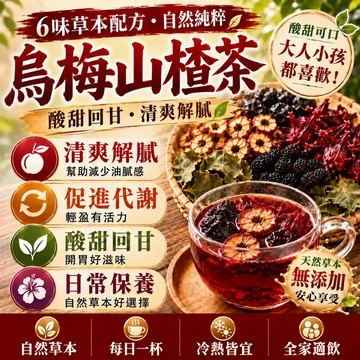 🌸 烏梅山楂茶 山楂茶 水果茶 烏梅汁 消消茶 果乾茶 荷葉茶 養生茶 茶包 輕盈茶 冷泡茶 促進代謝 養顏美容