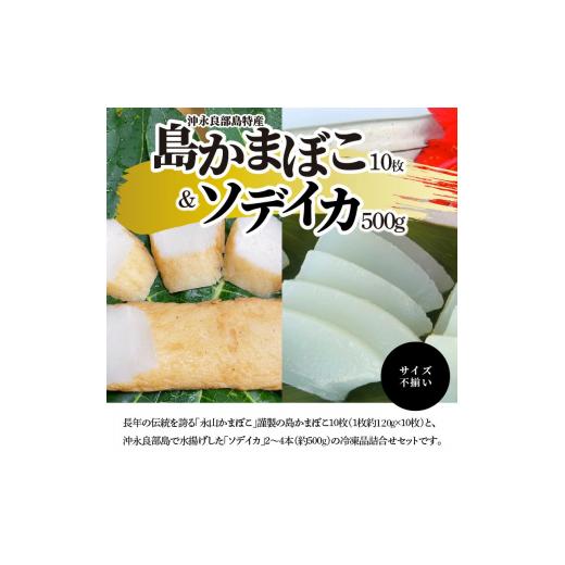 ふるさと納税 鹿児島県 和泊町  島かまぼこ10枚＆ソデイカ約500ｇ／サイズ不揃い