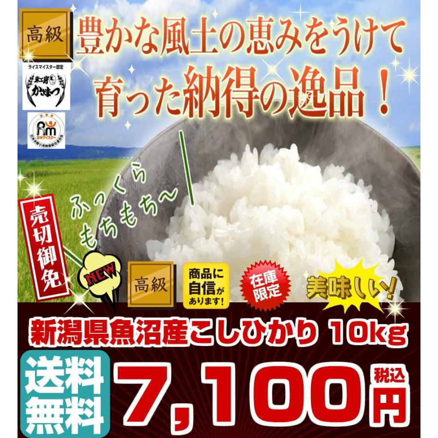 コシヒカリ 令和3年産 5kg×2袋 新潟県産 魚沼産 新米 10kg 米 お米 白米 玄米 選べる 送料無料 新潟県産 タイムセール