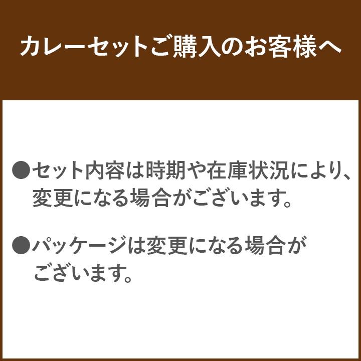 47都道府県ご当地カレーセット 景品 保存食