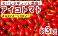 アイコトマト 約3kg 南島原市   とまと トマト 野菜   長崎県農産品流通合同会社 [SCB052]