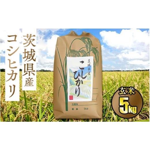 ふるさと納税 茨城県 守谷市 令和5年茨城県産コシヒカリ5kg