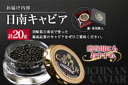 日南CAVIAR「キャビア」計20g　魚　魚介　国産 F10-191