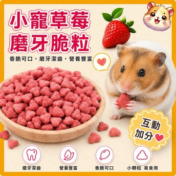 倉鼠磨牙零食 草莓磨牙脆粒 黃金鼠 小倉鼠 天竺鼠 兔子 磨牙餅 磨牙零食 倉鼠點心 倉鼠零食