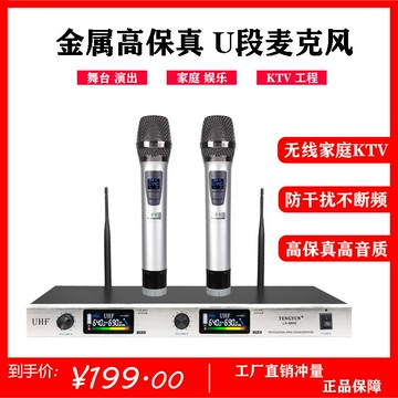 【可開發票】騰韻 話筒專業K歌一拖二家用唱歌KTV舞臺會議U段防嘯叫麥克風