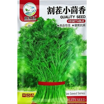 台灣現貨【原裝進口】 小茴香種子  安茹茴香 調料香料 家庭菜園 盆栽可種 高發芽率 新鮮香草 可食用 種植簡單