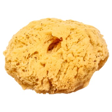 希臘海綿 CO775 粗質  1個  19cm