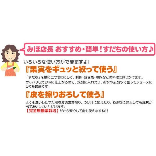 2023年収穫 すだち 果実 1kg 徳島県産 無農薬 家庭用 袋入 クール便送料無料