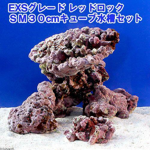 ❖新品アク抜き不要 人工ライブロック 60cm海水水槽用 レプリカ 多孔質安い1 新品アク抜き不要 ライブロック 人工 海水水槽用 レプリカ diy
