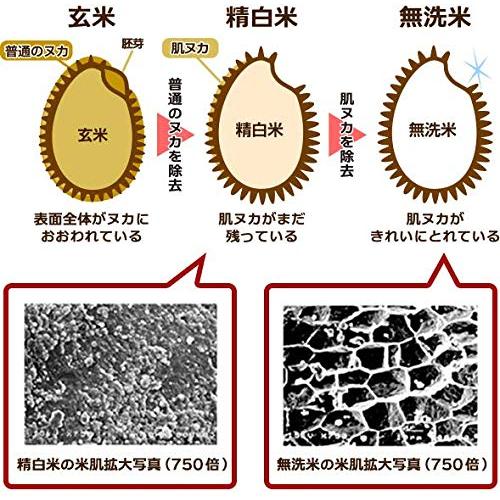 ホクレン 無洗米 ふっくりんこ 5kg
