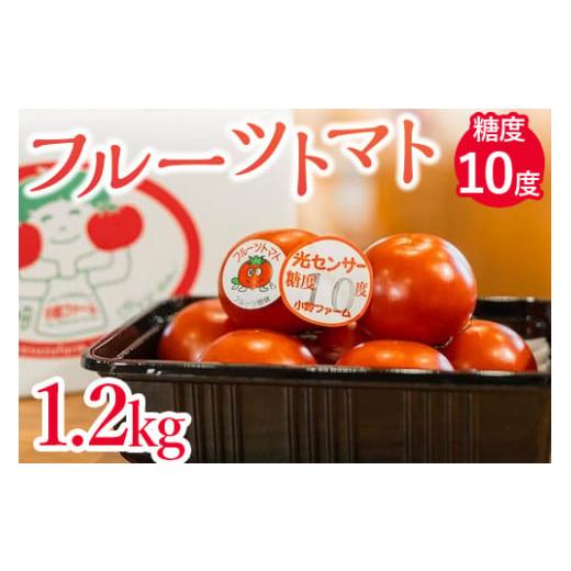 ふるさと納税 愛知県 美浜町 フルーツトマト糖度10度　1.2kg 愛知県産 国産 野菜 産地直送 高糖度 ※2024年1月〜4月まで順次発送予定