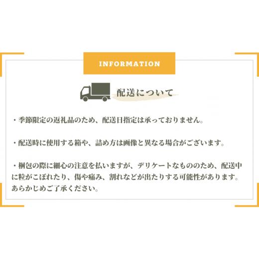 ふるさと納税 岡山県 新見市 新見のシャインマスカット 約1.2kg 2房 