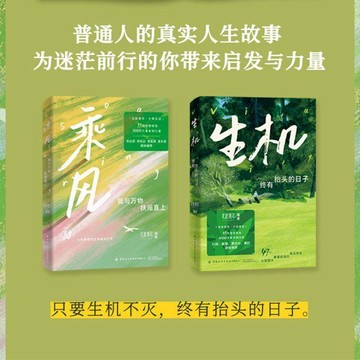 【墨香書苑】簡體字 乘風 : 我與萬物扶搖直上  普通人的真實人生勵志故事書  為迷茫前行的你帶來啟發與力量