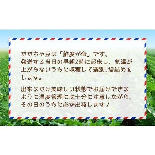 ふるさと納税 山形県 鶴岡市 数量限定朝採りだだちゃ豆 1.5kg 500g (500g×4袋) 枝豆　小池半左衛門