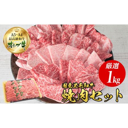 ふるさと納税 オリーブ牛 大人の BBQ セット1kg 香川県観音寺市