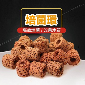 宏洋●水族大廠【Leilih紅多孔培菌環/單顆/分裝】實測培菌效果佳(多孔陶瓷環 生物環 培菌濾材 硝化菌 過濾 細菌屋