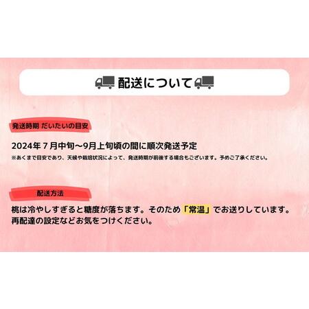 ふるさと納税 ◆2024年夏発送◆＜ 産直・こだわり桃・約2kg ＞ ※着日指定不可 ※離島への配送不可 ※2024年7月中旬〜9月中旬頃に順次発送予定 福島県国見町