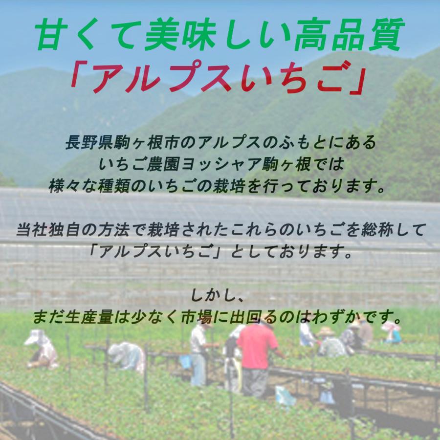 いちご農園の無添加 冷凍いちご 希少な南信州産100％ 便利な小分けタイプ 朝採れ完熟イチゴを真空冷凍  (カットタイプ 210g 4袋)