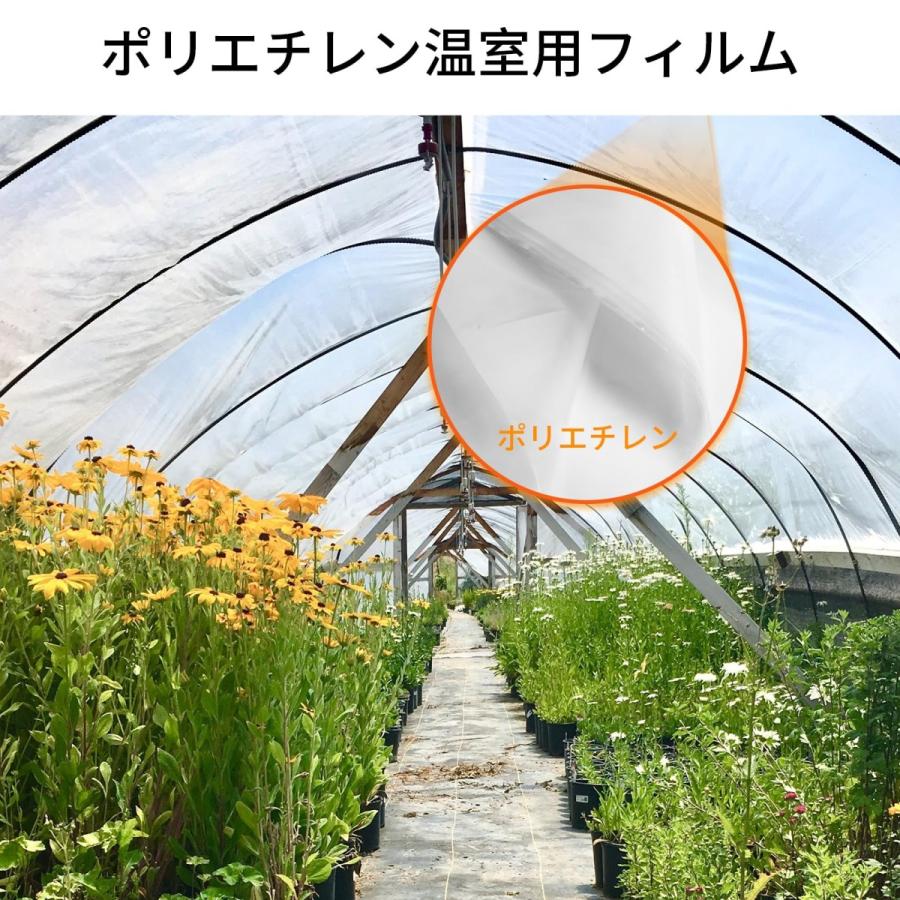 ビニールハウス ビニールシート 透明 0.15mm 農ポリ ビニール温室 替えカバー 植物栽培 園芸用菜園ハウス 菜園ビニールハウス