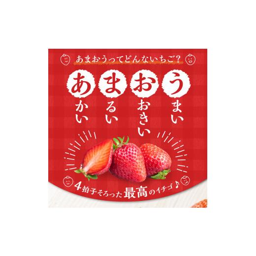 ふるさと納税 福岡県 久留米市 エコファーマー　あまおう　約300g×4パック　計1.2kg