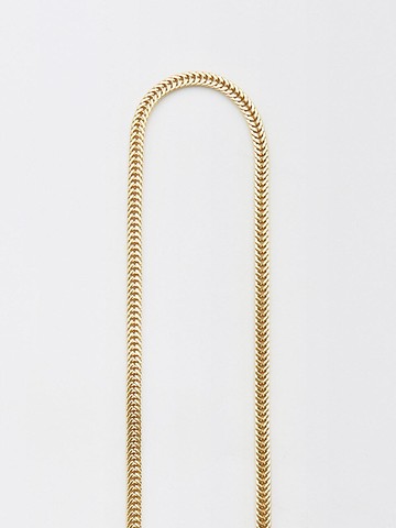 Shoulder Chain (Bone)
