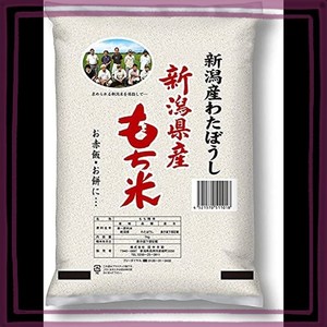 田中米穀 もち米 新潟県産 わたぼうし 1KG