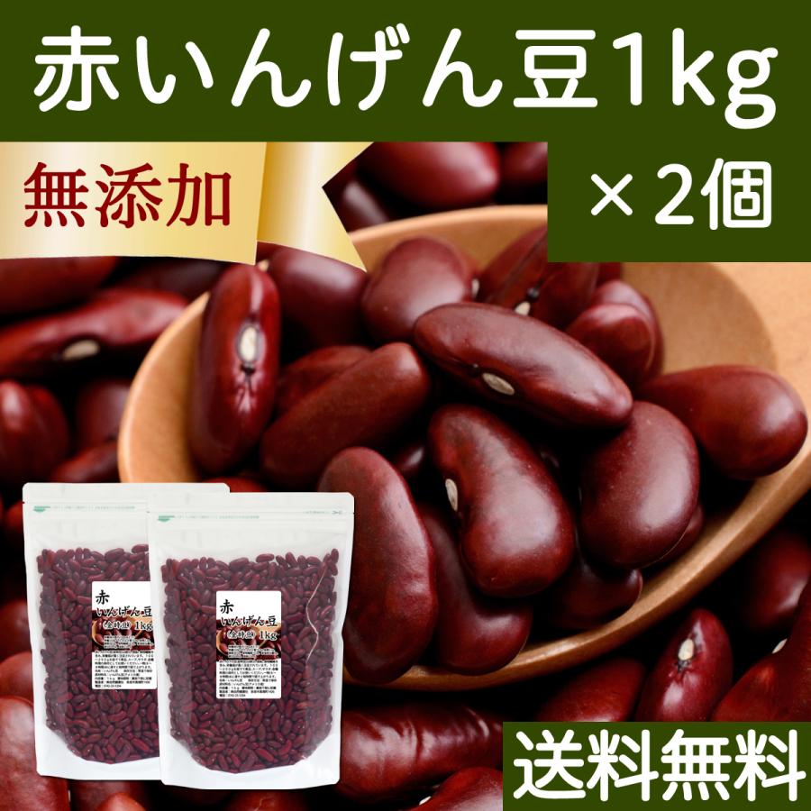 赤 いんげん豆 1kg×2個 金時豆 インゲン豆 レッドキドニー ビーンズ 送料無料