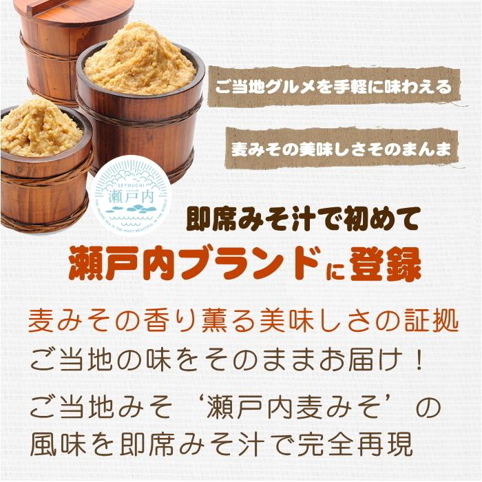 麦みその即席味噌汁フリーズドライ 31食入