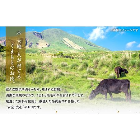 ふるさと納税 極和王シリーズ くまもと黒毛和牛 ロース薄切り 500g 熊本県産 牛肉 熊本県八代市