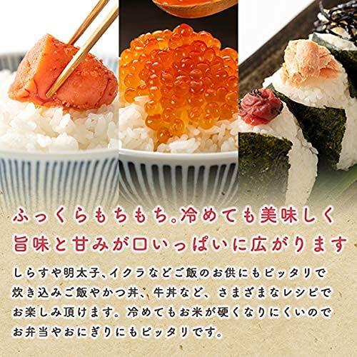 新米！令和5年産 秋田県産 あきたこまち 厳選米 米びつ当番プレゼント付き