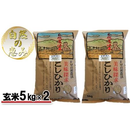 ふるさと納税 自然農法米こしひかり「自然の恵み」玄米5kg×2個《特別栽培米》 石川県能美市