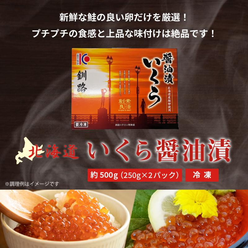 北海道産 鮭 いくら醤油漬け 500g（250g×2パック） イクラ さけ サケ 送料無料