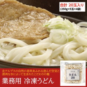 うどん 250g×5玉×4袋 全部で20玉入り 5kg 業務用 冷凍麺 簡単調理 お徳用 まとめ買い 仕入れ 澤志庵 たくしあん