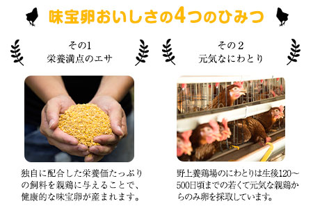 朝獲れ卵 味宝卵 (80個) 卵 Lサイズ 鶏卵《90日以内に順次出荷(土日祝除く)》野上養鶏場