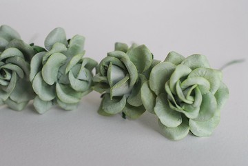 紙花，25 支桑椹玫瑰，尺寸 3.5 厘米。曲線花瓣，綠茶色