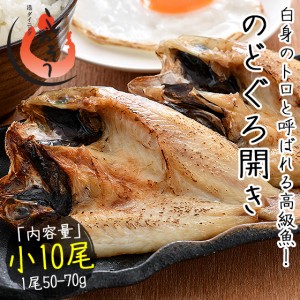 のどぐろ 干物 浜田 約50～70g×10尾 小サイズ 約15cm前後 島根県産 ノドグロ お歳暮 贈り物 ギフト グルメ プレゼント 冬グルメ 冬ギフ