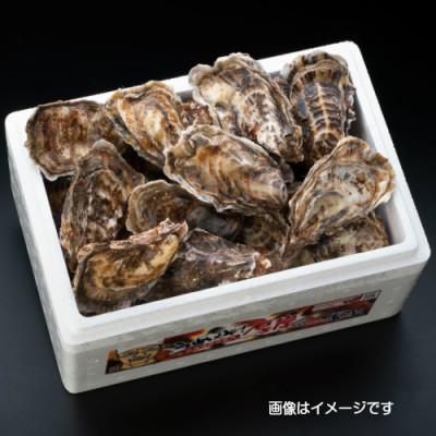 ふるさと納税 厚岸町 THE訳ありオイスター 規格外 牡蠣 約2kg  殻付カキ 「マルえもん」(1箱11個〜25個入り)