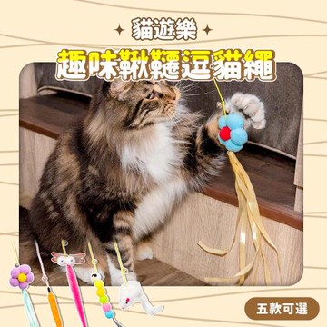 毛孩的秘密生活 貓遊樂-趣味鞦韆逗貓繩[5入組] 五款可選