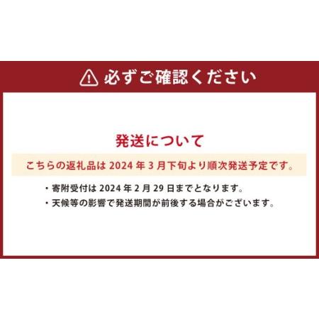 ふるさと納税 デコポンおよび熊本県産季節の柑橘 約3kg 約10〜11玉 熊本県