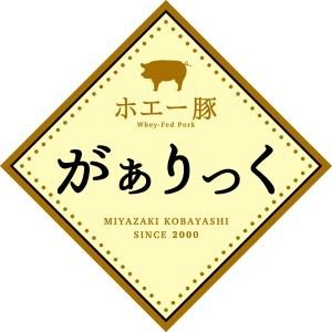 ふるさと納税 ホエー豚おためし炒め物セット 宮崎県小林市