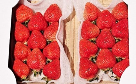  あまおう DX 約280g × 4パック 合計約1.1kg いちご 苺 イチゴ フルーツ 果物