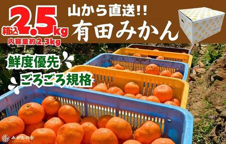 みかん 山から直送 箱込 2.5kg 内容量約 2.3kg 鮮度優先ごろごろ規格 和歌山県産 産地直送 家庭用