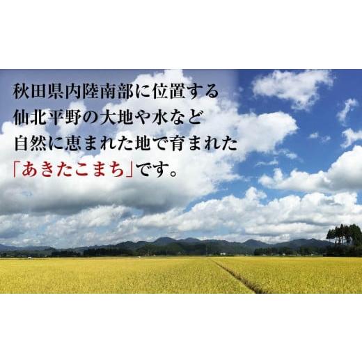 ふるさと納税 秋田県 大仙市 秋田県産おばこの匠あきたこまち　10kg （2kg×5袋）白米