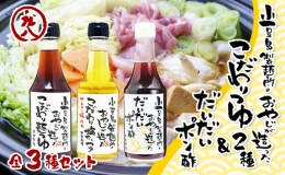 小豆島製麺所のおやじが造った『こだわり塩だしつゆ』『こだわり麺つゆ』『だいだいポン酢』セット