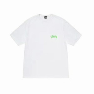 STUSSY ステューシー Tシャツ 半袖