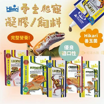 宏洋【Hikari高夠力 守宮凝膠飼料】豹紋肥尾〞守宮飼料〞豹紋守宮 肥尾守宮 鬆獅蜥 睫角守宮 爬蟲 爬蟲凝膠 蟲泥