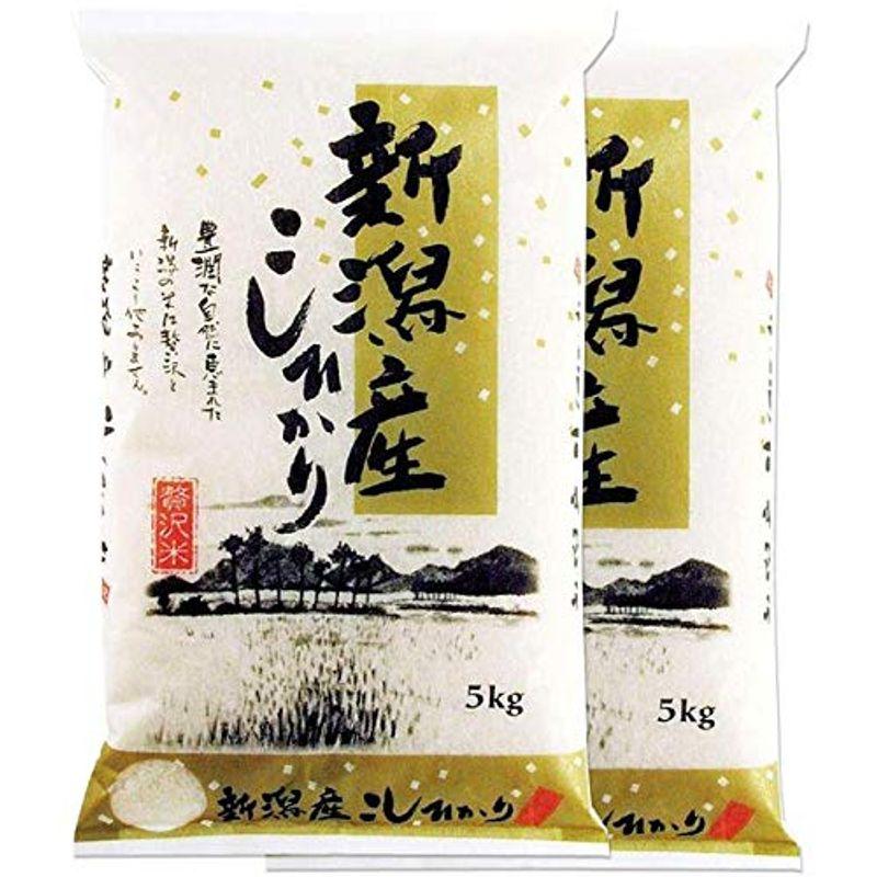 出荷日に精米 新潟県産 コシヒカリ 白米 10kg (5kg×2袋) 令和4年産 新米